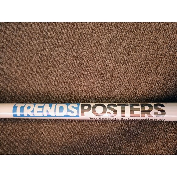 TRENDS INTERNATIONAL MARVEL COMICS SPIDE-VERSE THE AMAZING SPIDER-MAN‎ #13 - Picture 2 of 3